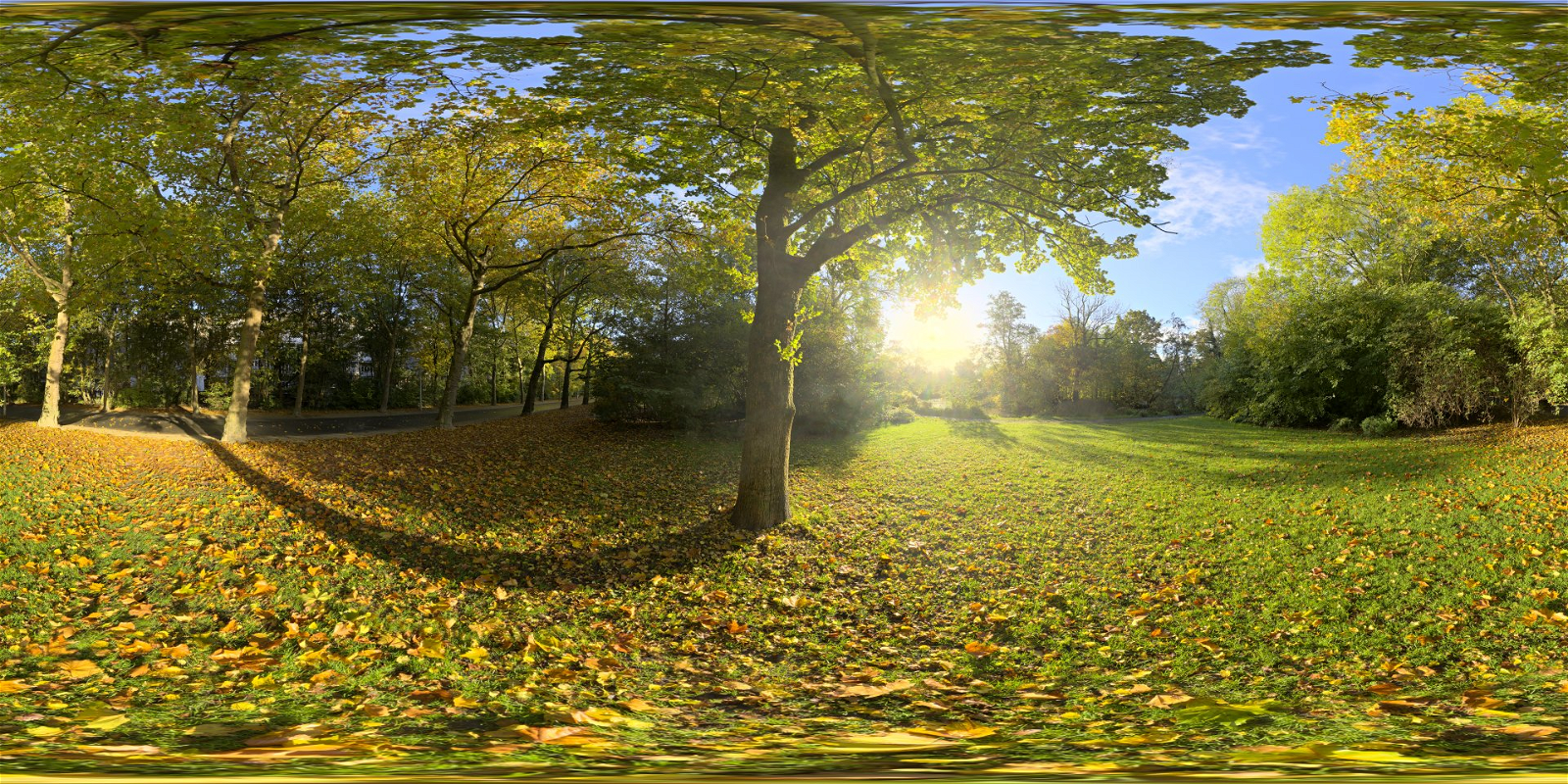 HDRI – Sunny Vondelpark – nature - thumbnail 1