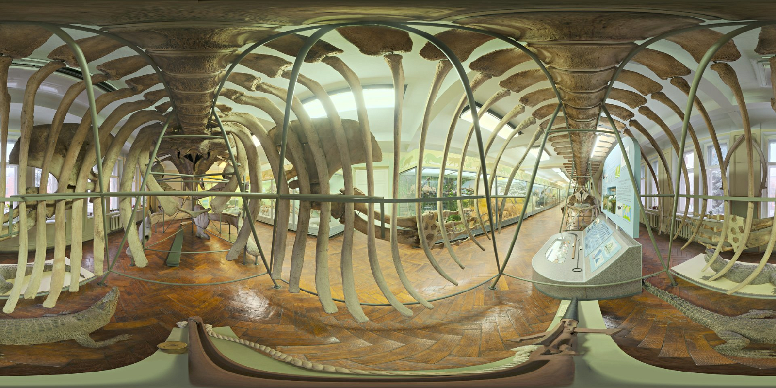 HDRI – Whale Skeleton – urban - thumbnail 1