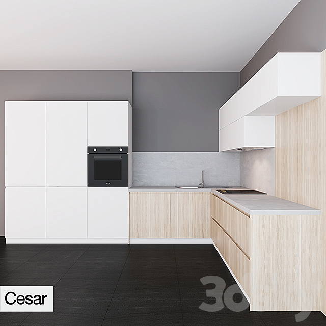 Cesar Maxima 2.2 zahvat hook 3DSMax File - thumbnail 1