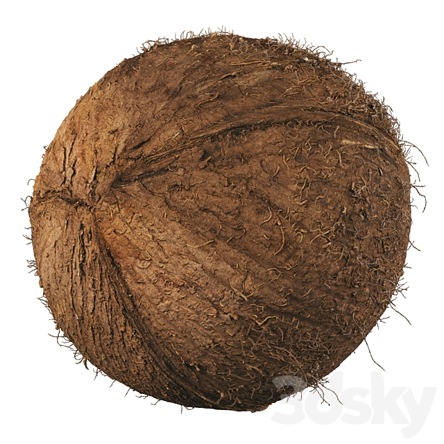 4k coconut 02 3DS Max Model - thumbnail 2