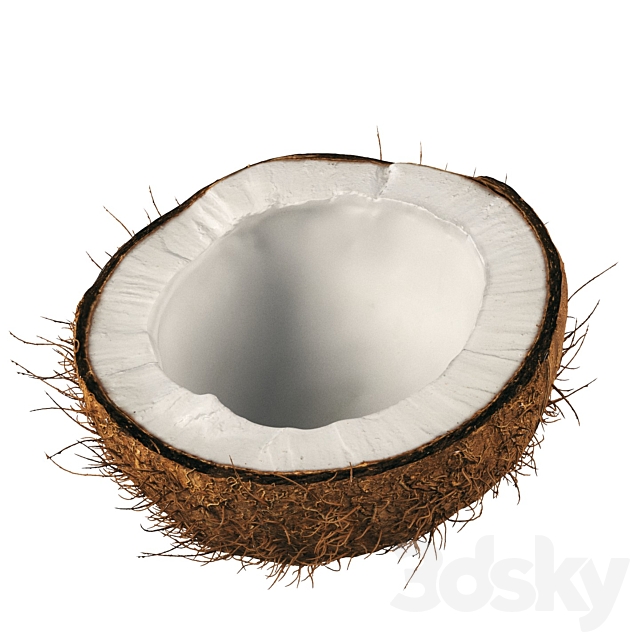 4k coconut 02 3DS Max Model - thumbnail 3