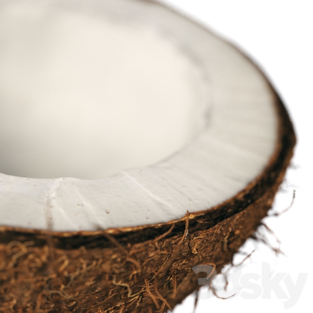 4k coconut 02 3DS Max Model - thumbnail 5