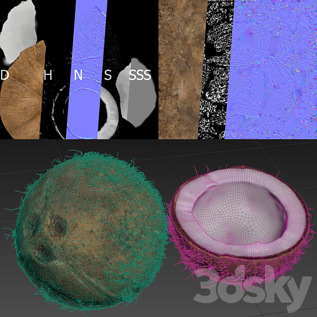 4k coconut 02 3DS Max Model - thumbnail 7