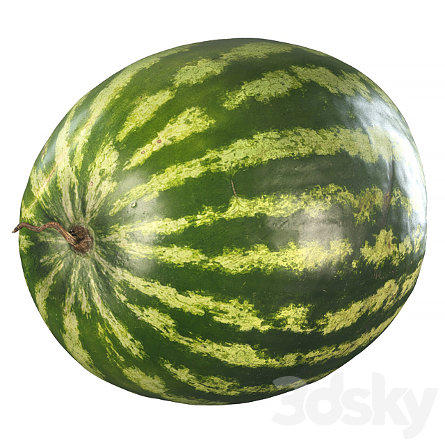 4k watermelon 3DS Max Model - thumbnail 2