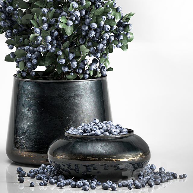 A small beautiful lush blueberry bush in a metal pot and a bowl with blueberries a tree. 3ds Max - thumbnail 2