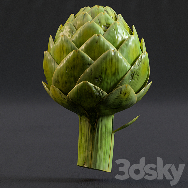 Artichokes 3DS Max Model - thumbnail 2