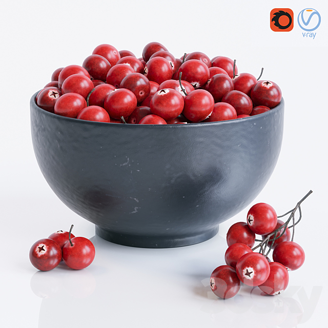 Cranberry 3DSMax File - thumbnail 1