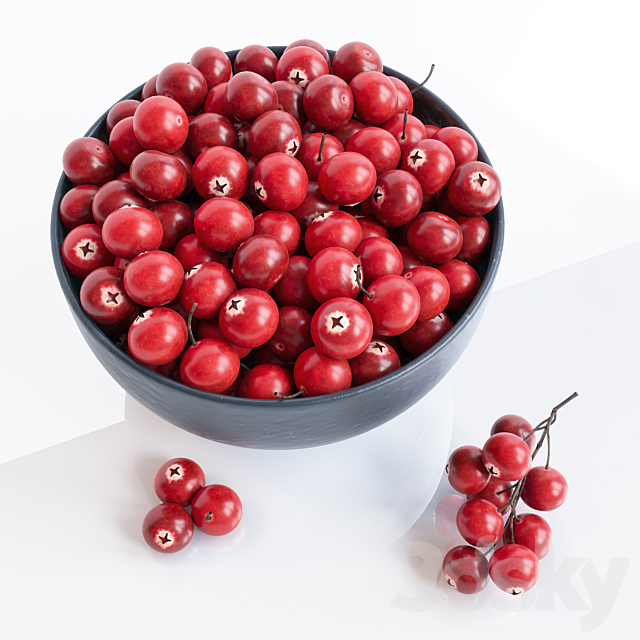 Cranberry 3DSMax File - thumbnail 2