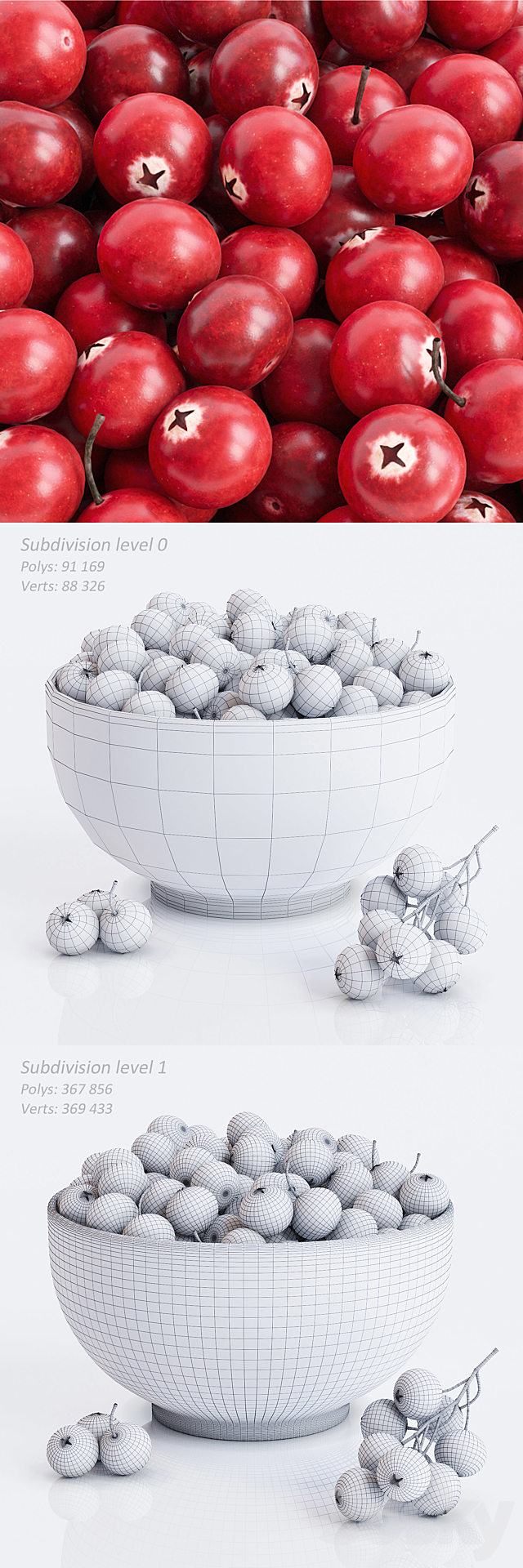 Cranberry 3DSMax File - thumbnail 3