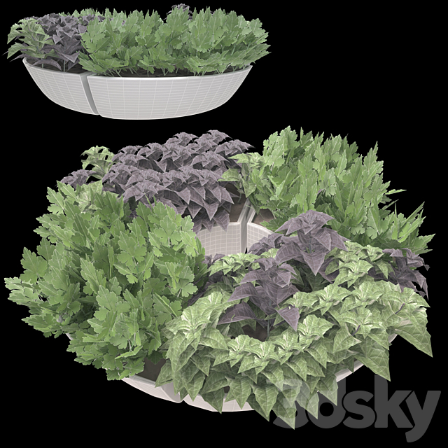 Decor with herbs 3DS Max Model - thumbnail 2