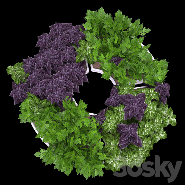 Decor with herbs 3DS Max Model - thumbnail 3