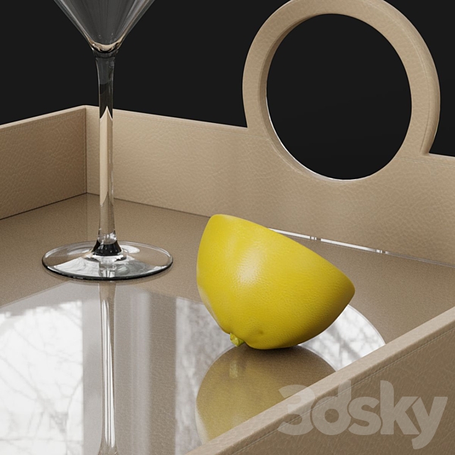 Global Views Leather Serving Tray 3DSMax File - thumbnail 5