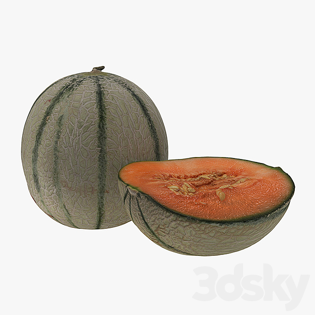 Melon 3DSMax File - thumbnail 1