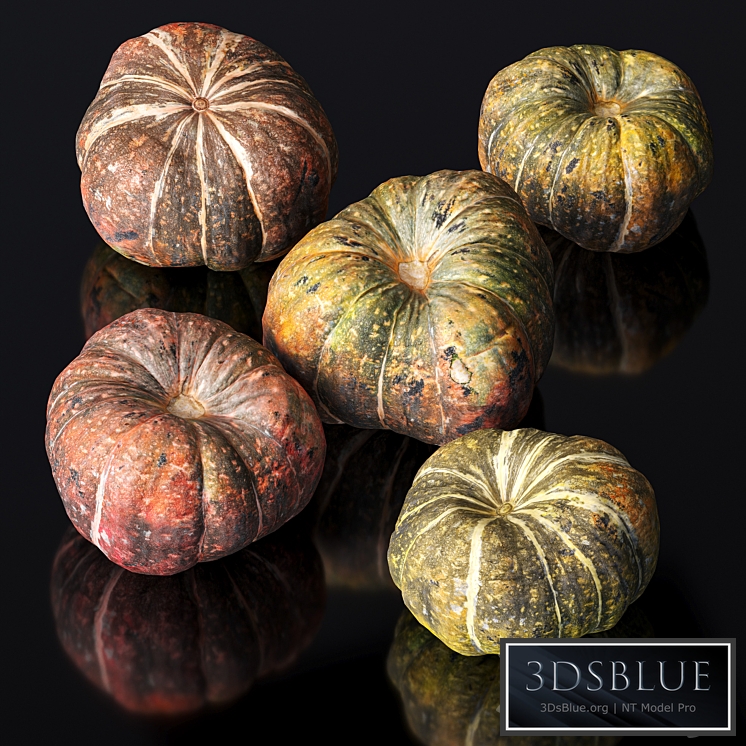 Pumpkin. 5 models 3DS Max - thumbnail 3