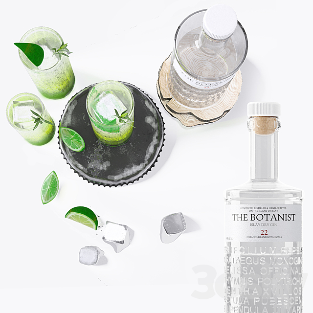 The Botanist gin and mojito with ice 3DSMax File - thumbnail 3