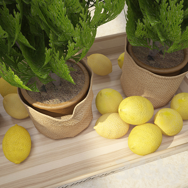 Decor with lemon 3DS Max Model - thumbnail 2