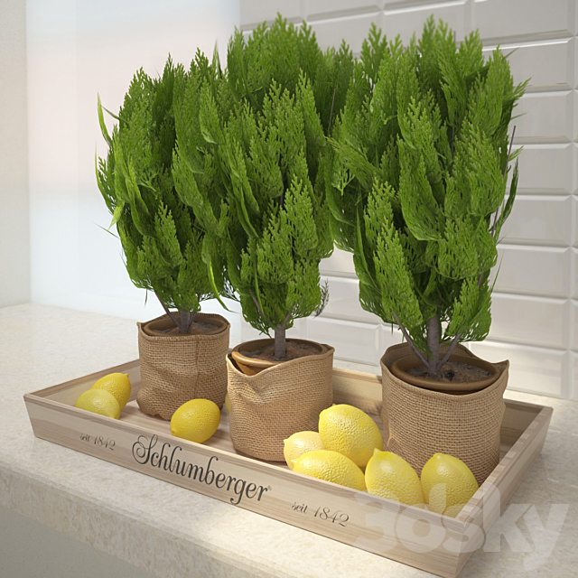 Decor with lemon 3DS Max Model - thumbnail 3