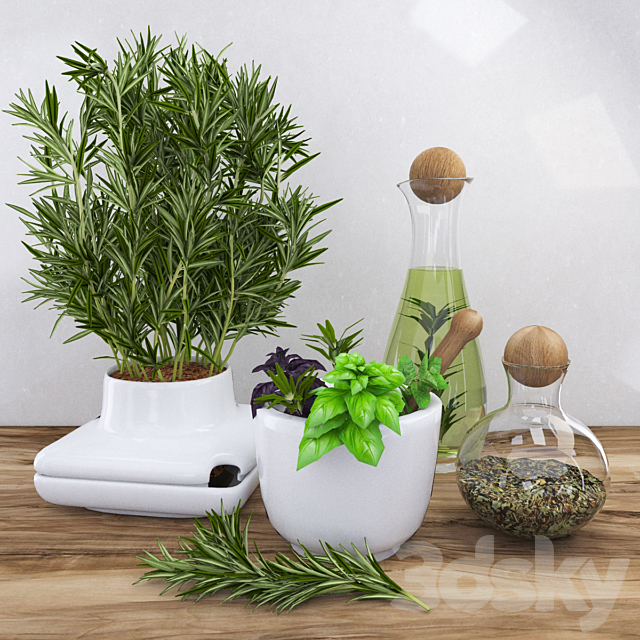 Decor with spicy herbs – rosemary 3DSMax File - thumbnail 1