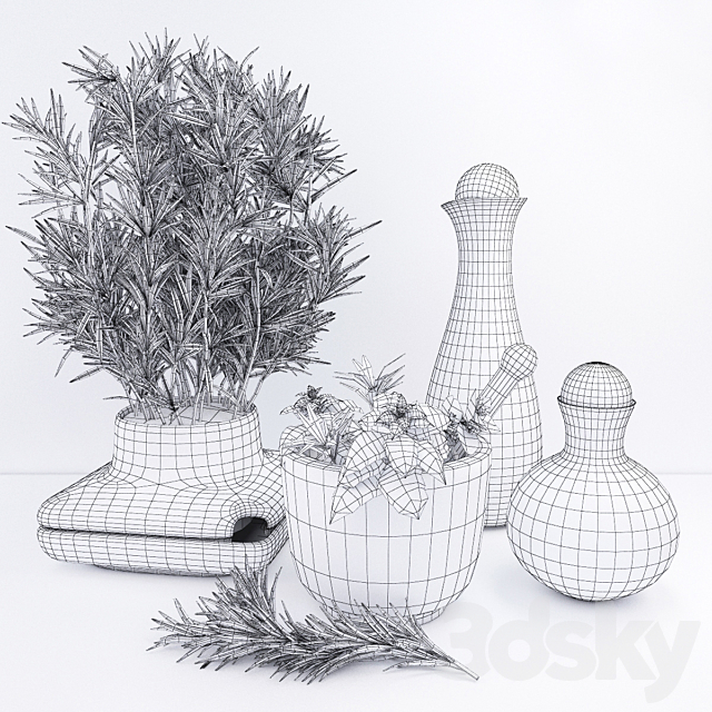 Decor with spicy herbs – rosemary 3DSMax File - thumbnail 2