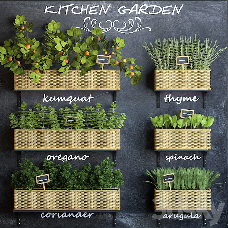 Kitchen garden 3 3DS Max - thumbnail 1