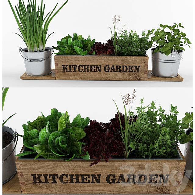 Kitchen garden 3ds Max - thumbnail 1