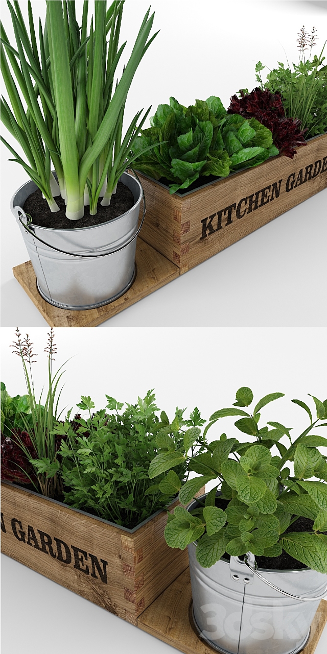 Kitchen garden 3ds Max - thumbnail 2