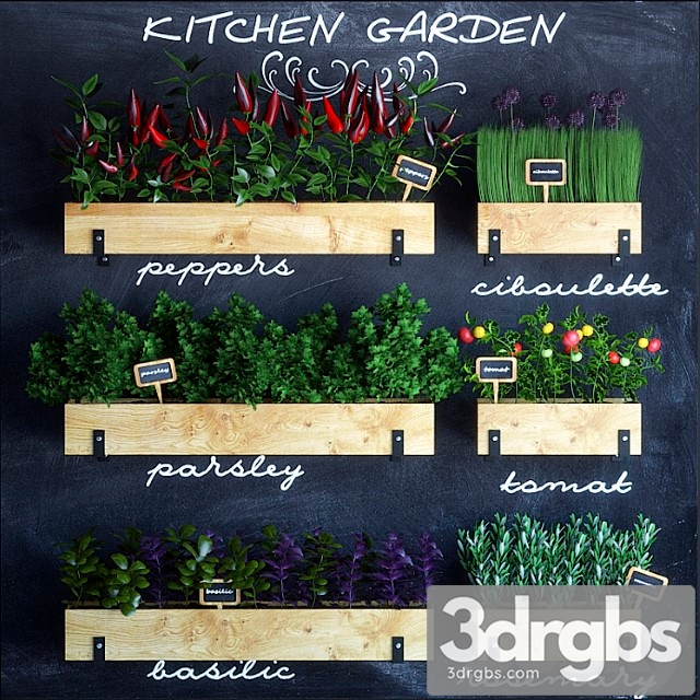 Kitchen garden 3dsmax Download - thumbnail 1