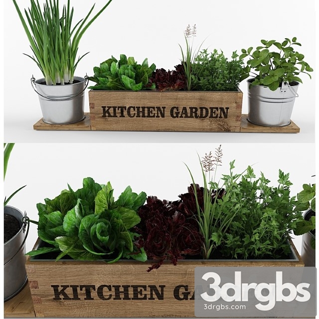 Kitchen garden_222 3dsmax Download - thumbnail 1