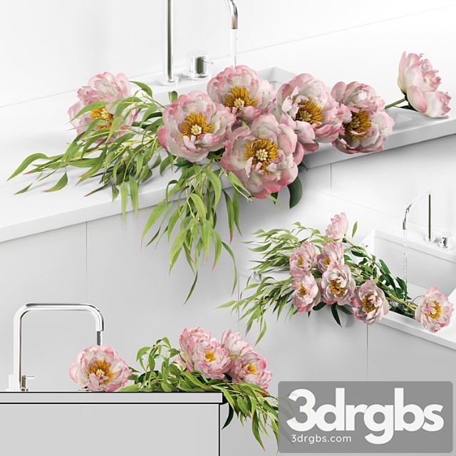 Peonies in sink 3dsmax Download - thumbnail 1