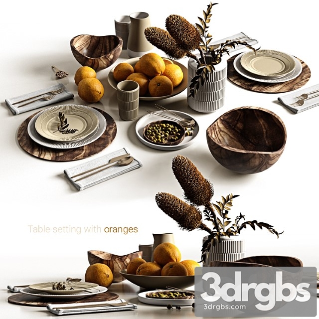 Table setting with oranges 3dsmax Download - thumbnail 1