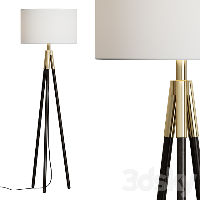 Crate & Barrel _ Hyde Brass and Bronze Metal Tripod Floor Lamp 3DSMax File - thumbnail 1