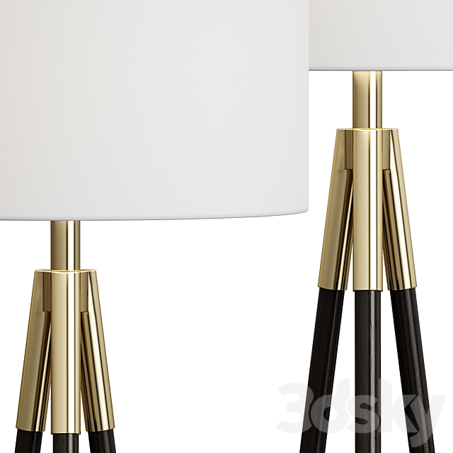 Crate & Barrel _ Hyde Brass and Bronze Metal Tripod Floor Lamp 3DSMax File - thumbnail 2