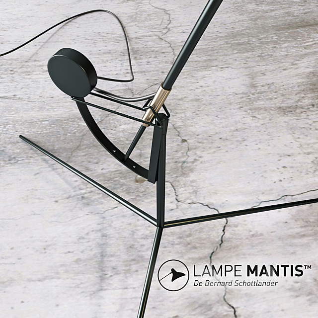 floor lamp 3DSMax File - thumbnail 2