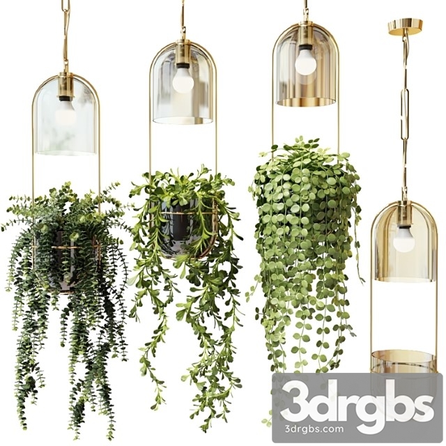 Ampel plants in hanging pots lamps – set 2 - thumbnail 1