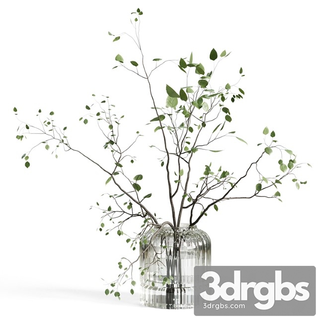 Branches Plant With Galss Vase White Bouquet 22 3dsmax Download - thumbnail 1