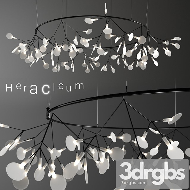 Chandelier moooi heracleum big o small black - thumbnail 1