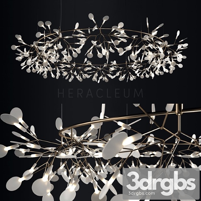 Chandelier Moooi Heracleum The Big O 3dsmax Download - thumbnail 1