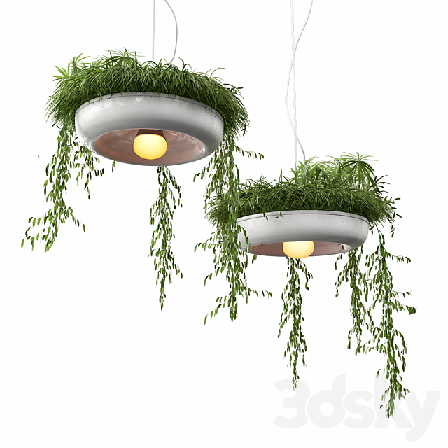 Chandelier with plants 3DSMax File - thumbnail 1