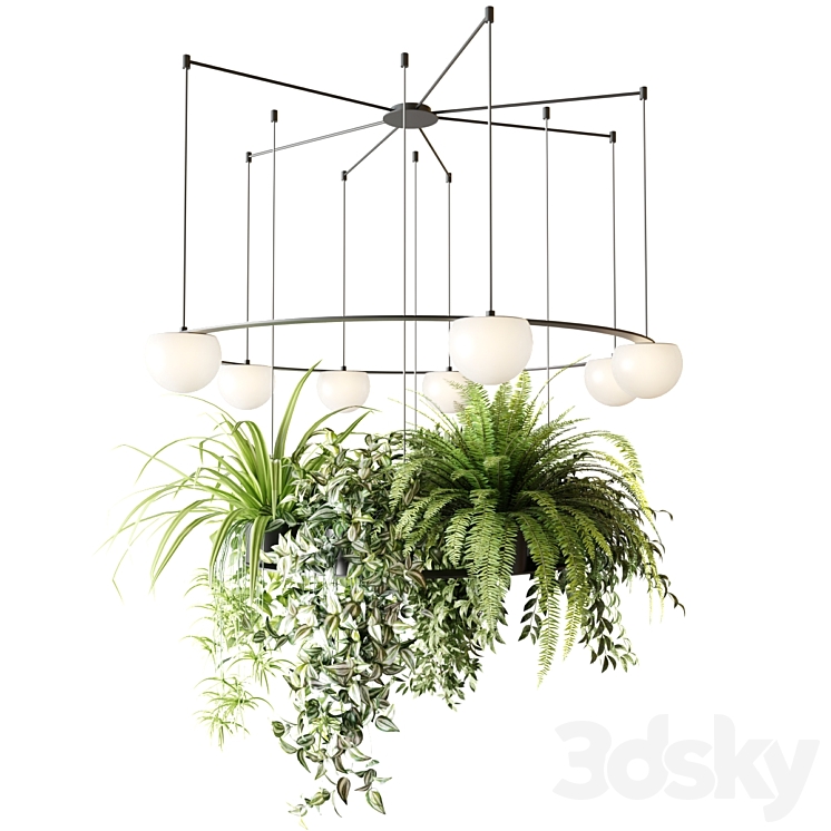 CIRC Suspension lamps Pendants chandelier with ampelous plants 3DS Max Model - thumbnail 1