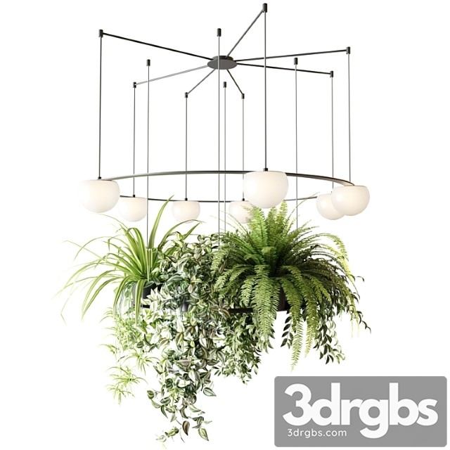 CIRC Suspension Lamps Pendants Chandelier With Ampelous Plants 3dsmax Download - thumbnail 1