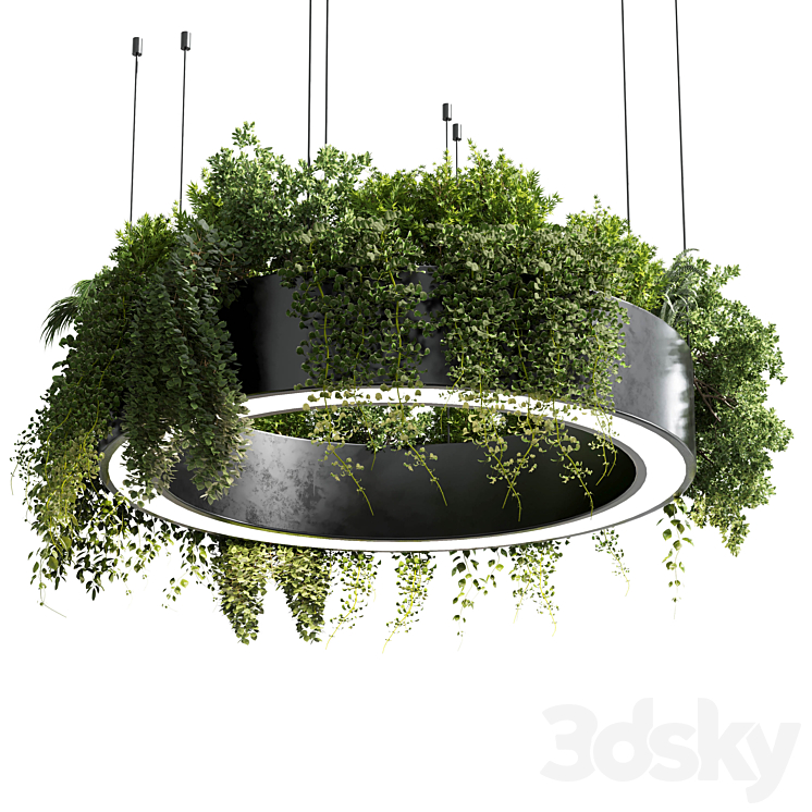 circle pot light – pendant plant light hanging 05 3DS Max Model - thumbnail 1