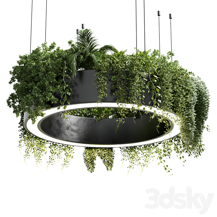 circle pot light – pendant plant light hanging 05 3DS Max Model - thumbnail 2