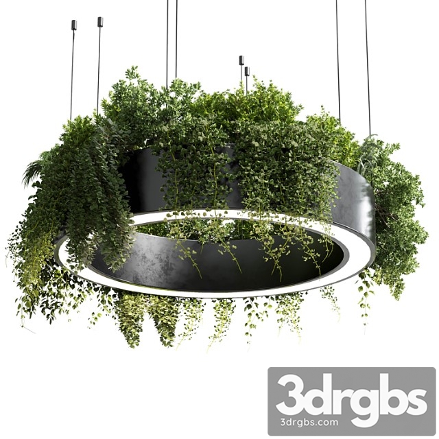 Circle pot light – pendant plant light hanging 05 - thumbnail 1