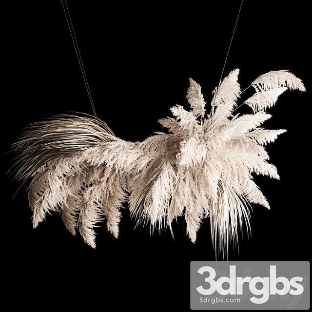 Hanging Bouquet Installation Of White Reeds Dried Flowers Of Pampas Grass Cortaderia Reeds 260 3dsmax Download - thumbnail 1