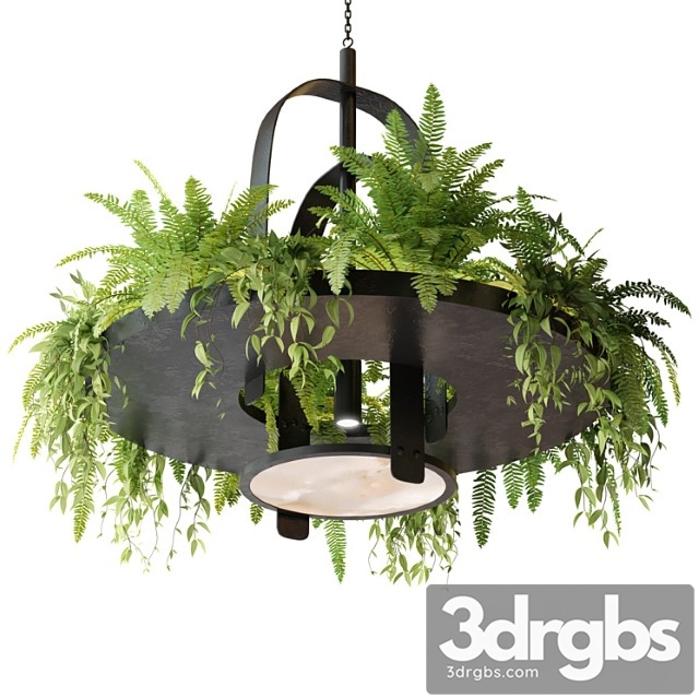 Hanging lamp with plants 3dsmax Download - thumbnail 1