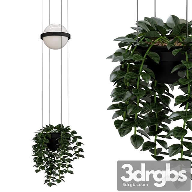 Palma Pendant 3dsmax Download - thumbnail 1