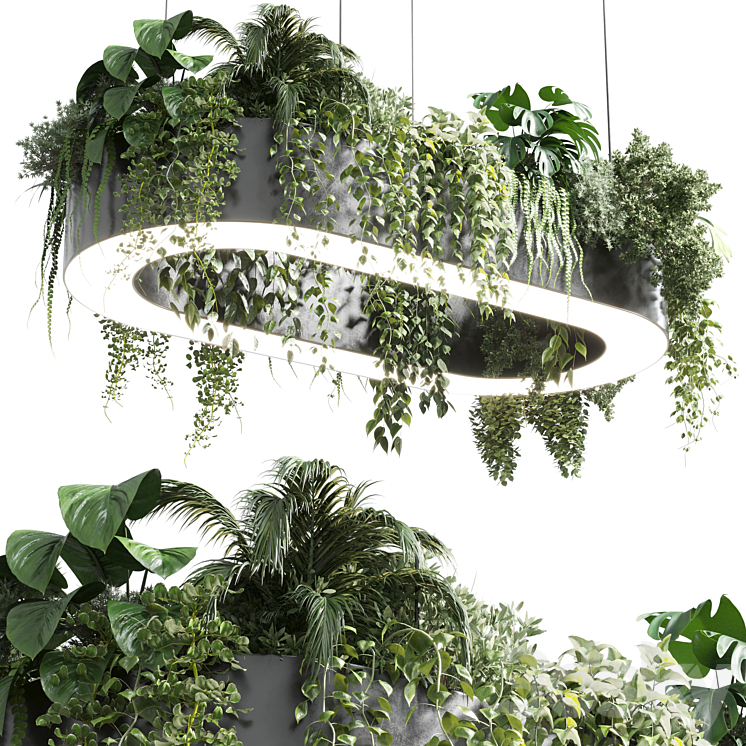 pot light – pendant plant light hanging 06 corona 3DS Max Model - thumbnail 1