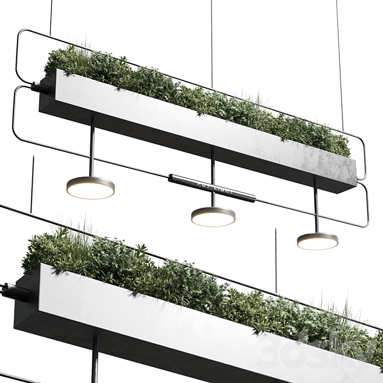 pot light – pendant plant light hanging 07 3DS Max Model - thumbnail 3