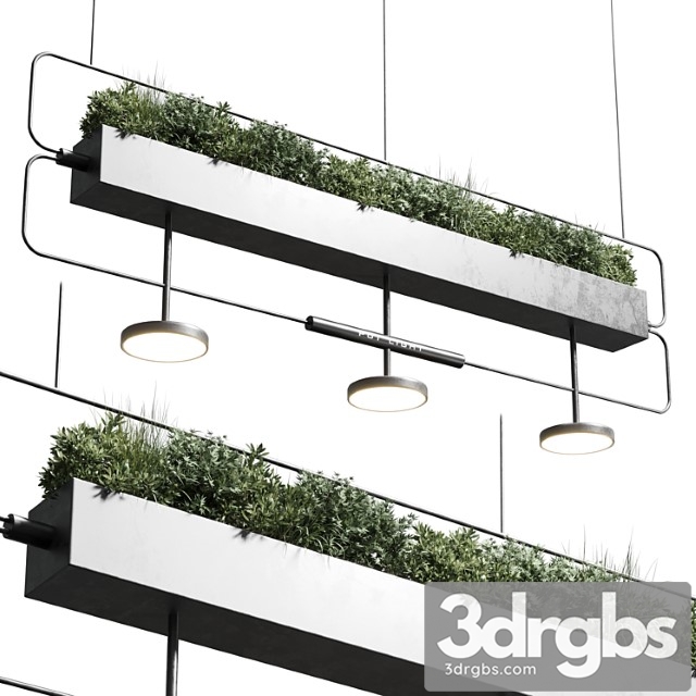 Pot light – pendant plant light hanging 07 - thumbnail 1