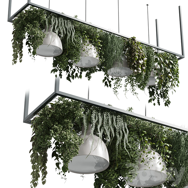 pot light – pendant plant light hanging 08 3DS Max Model - thumbnail 2